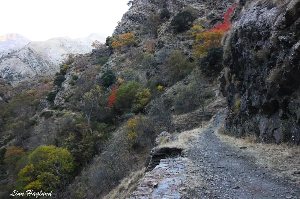 Hiking trail Vereda de la Estrella Spain