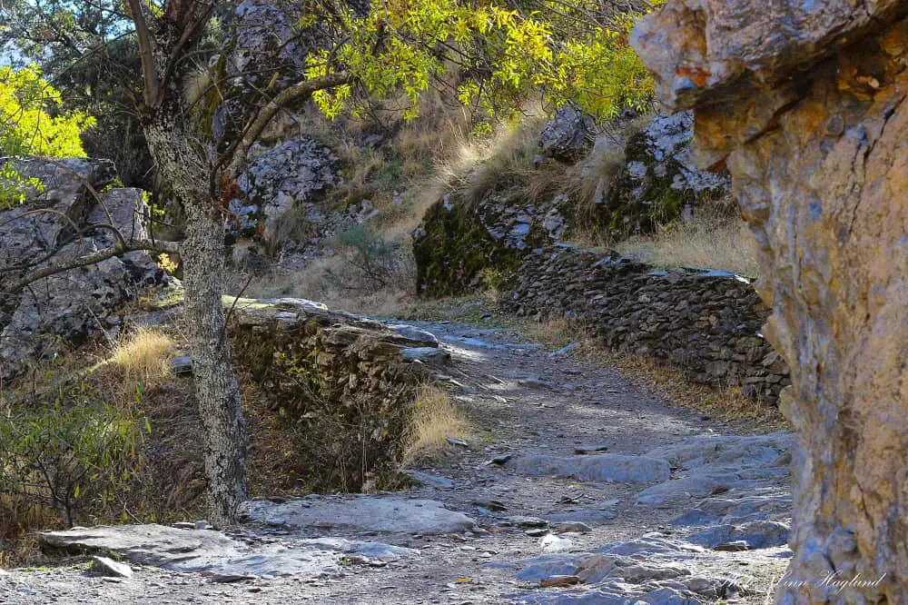 Vereda de la Estrella Granada