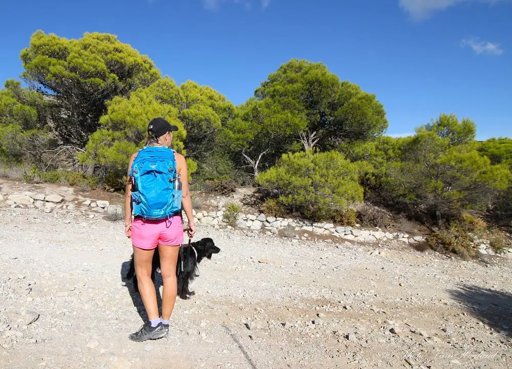 Osprey packs sirrus clearance 24 women's hiking backpack