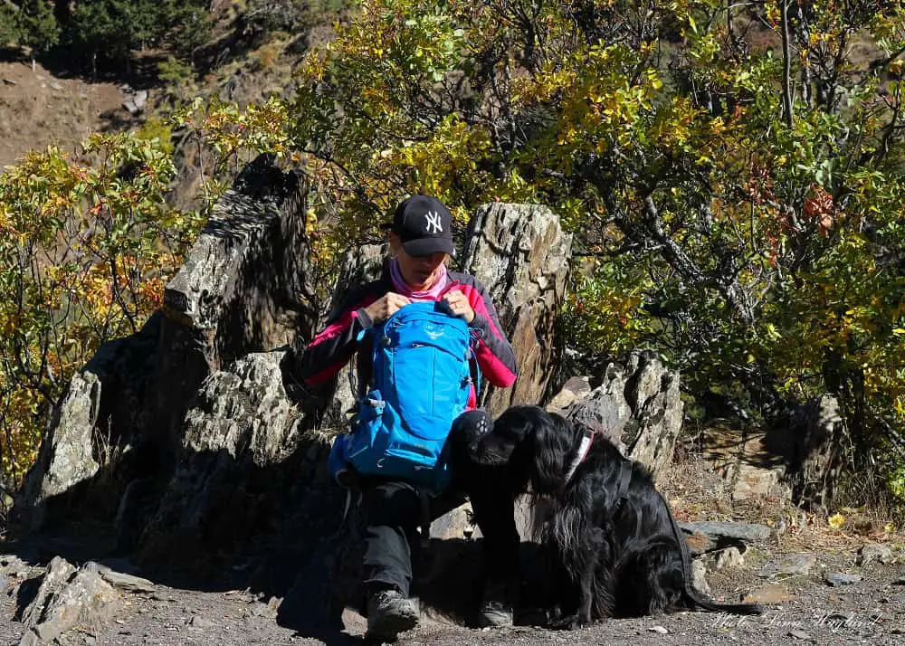 What to pack for a day hike