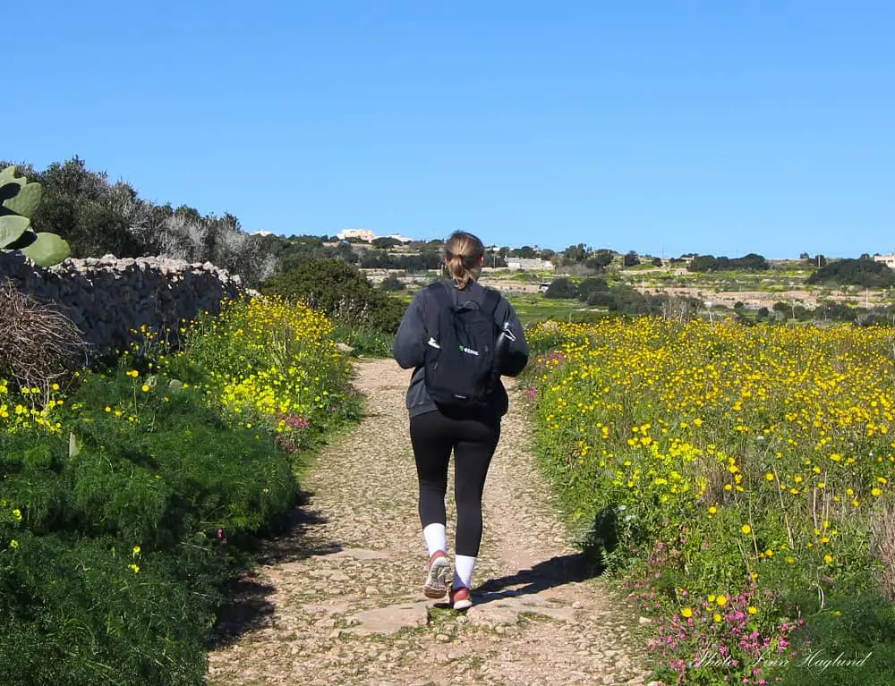 Hiking leggings