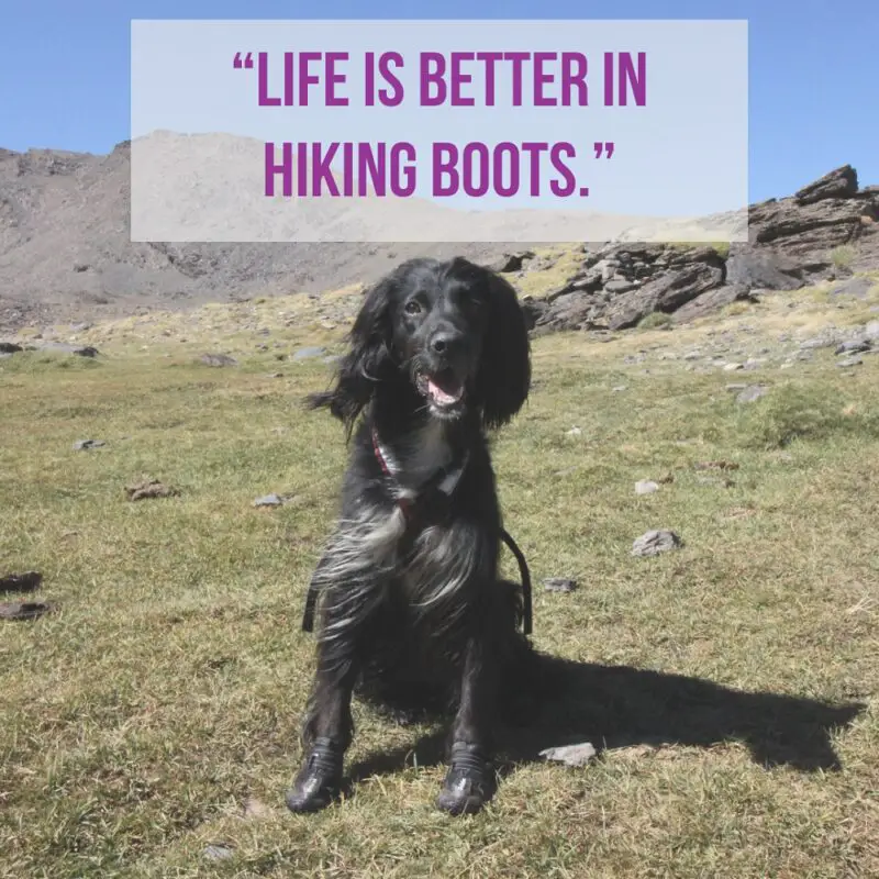 Hiking quotes