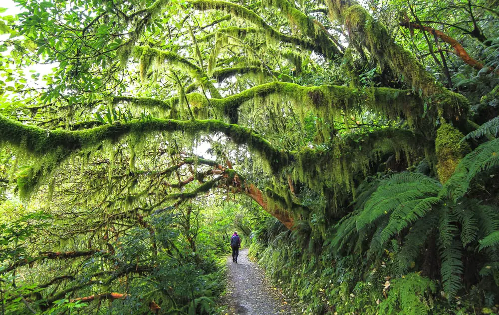 How to hike in the rain