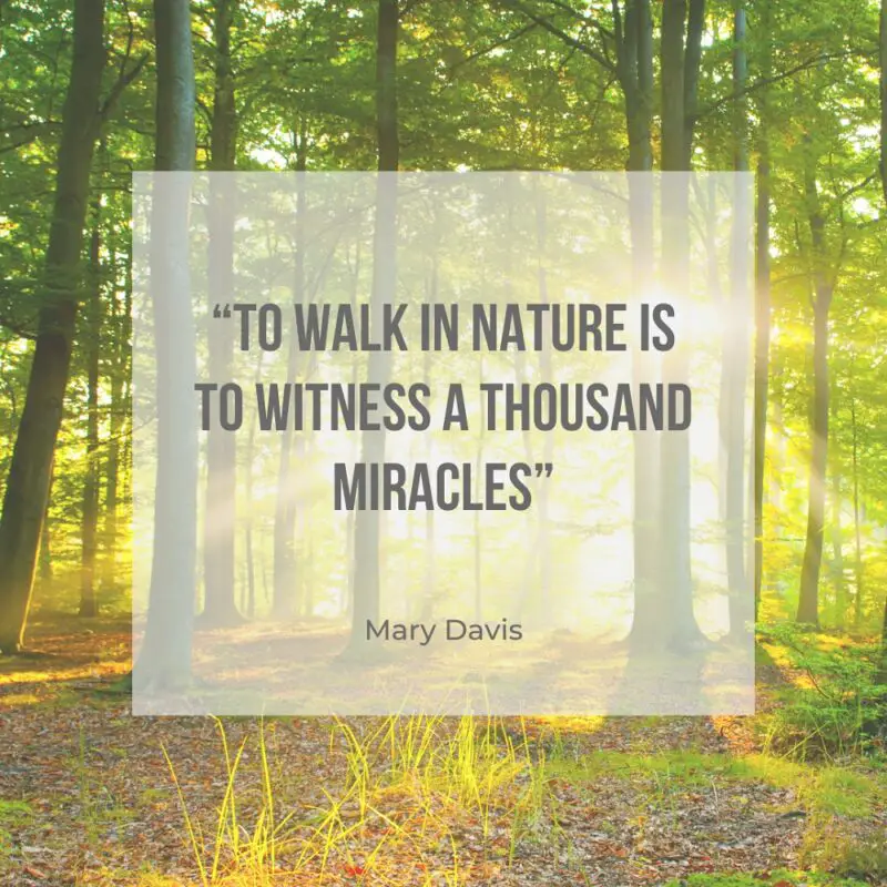 Inspirational hiking quote