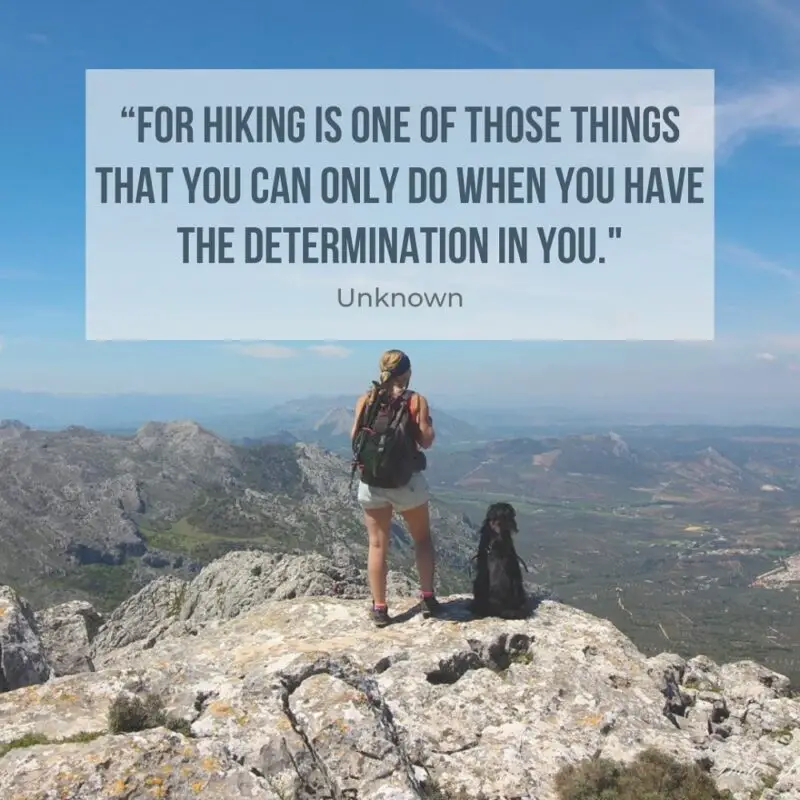 Quotes hiking