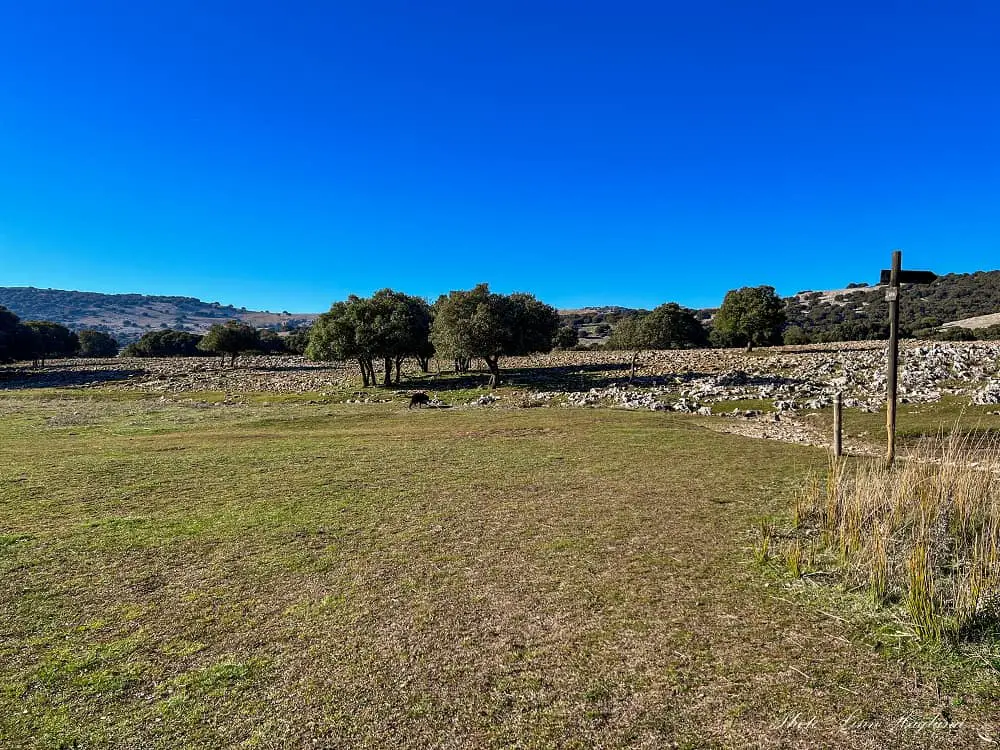 Rio Bailón loup trail from Zuheros