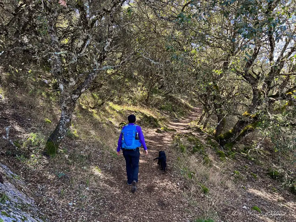 Sierras Subbeticas Rio Bailón Zuheros