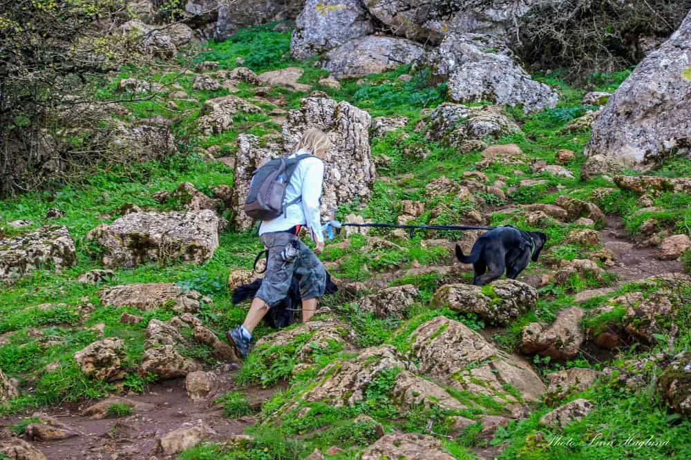 best hiking shirts for hot weather