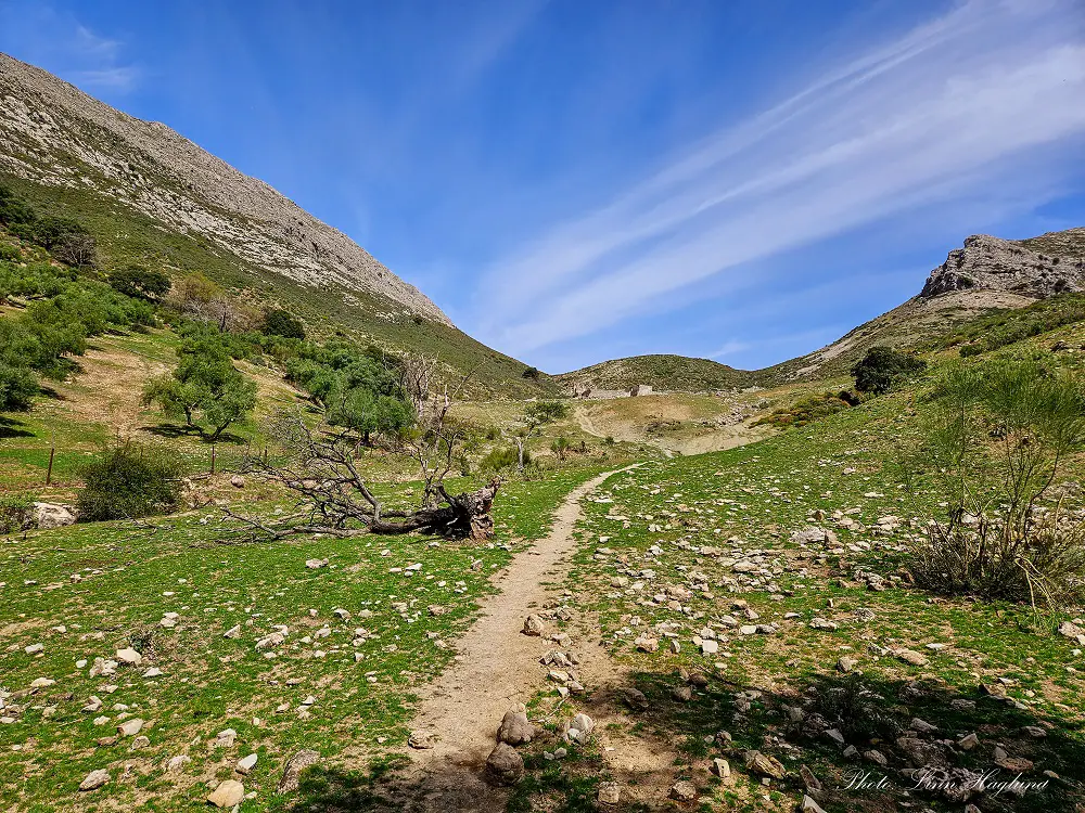 The trail to La Tiñosa peak going through a green valley.