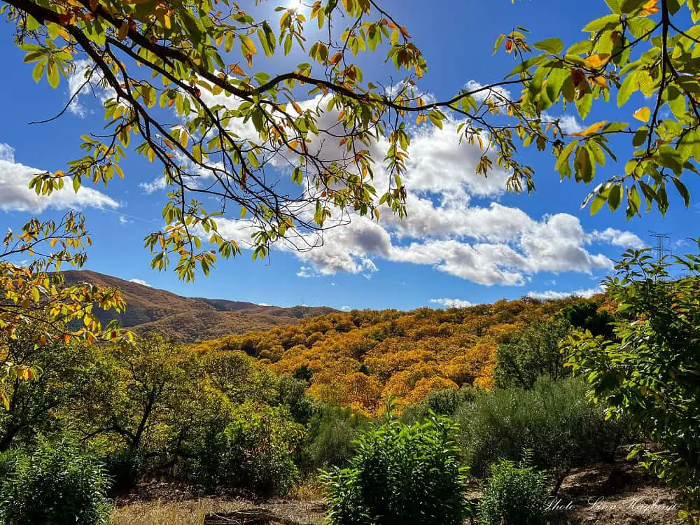 Bosque de Cobre in Valle del Genal Malaga Spain.