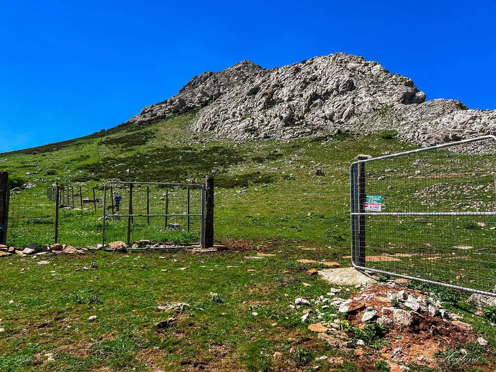 An open gate along Camorro Alto hike.