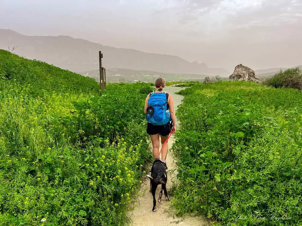 Me and Atlas walking towards hiking signs at the end of Arquillas walk Antequera.