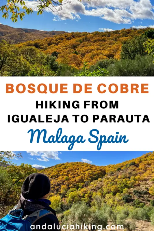 Pinterest image of me hiking in a copper-colored forest with the overlay text "Hiking for Fall Colors in Malaga - Igualeja to Parauta through Bosque de Cobre."