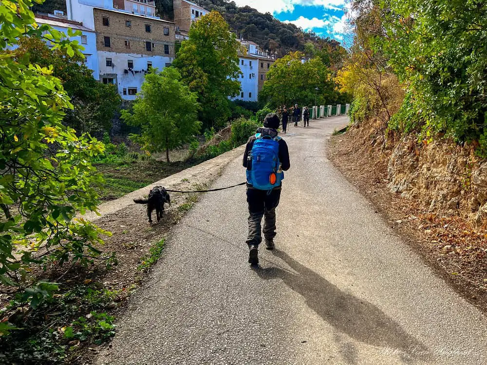 Hiking on a concrete road from Igualeja to Parauta.