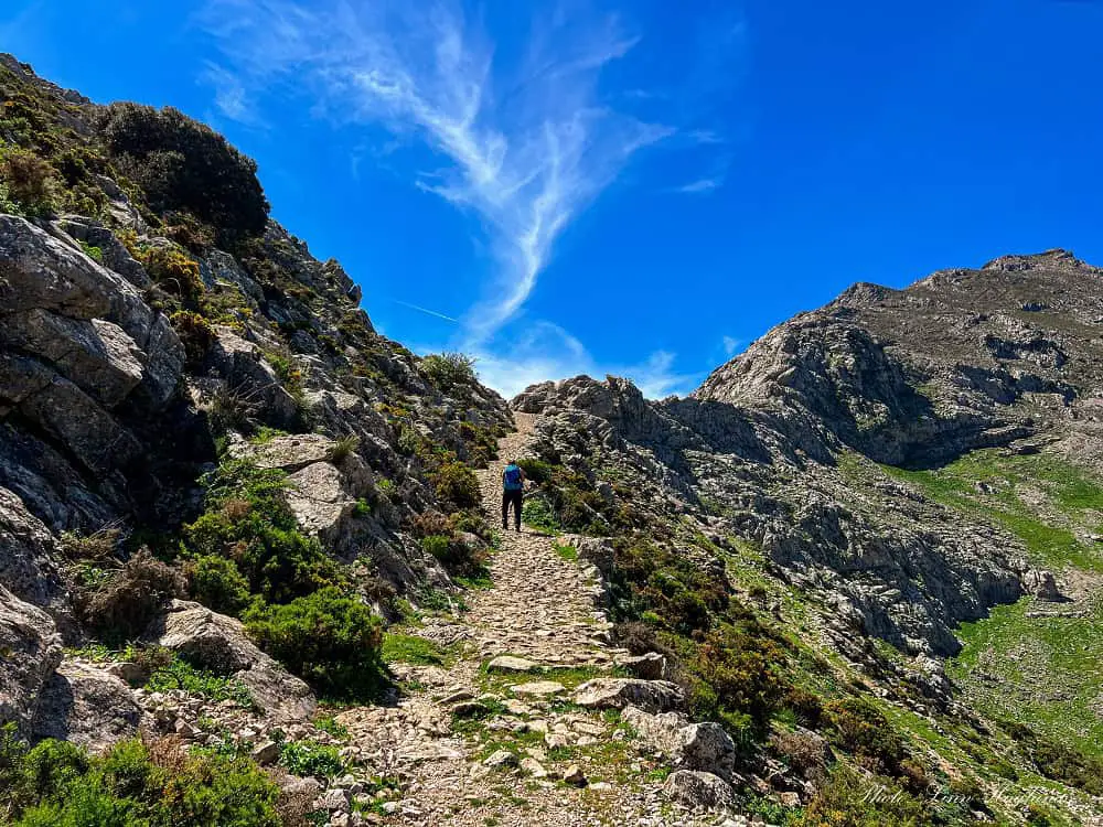 Me and my dog, Atlas, hiking up the path to Puerto de la Escaruela Antequera.