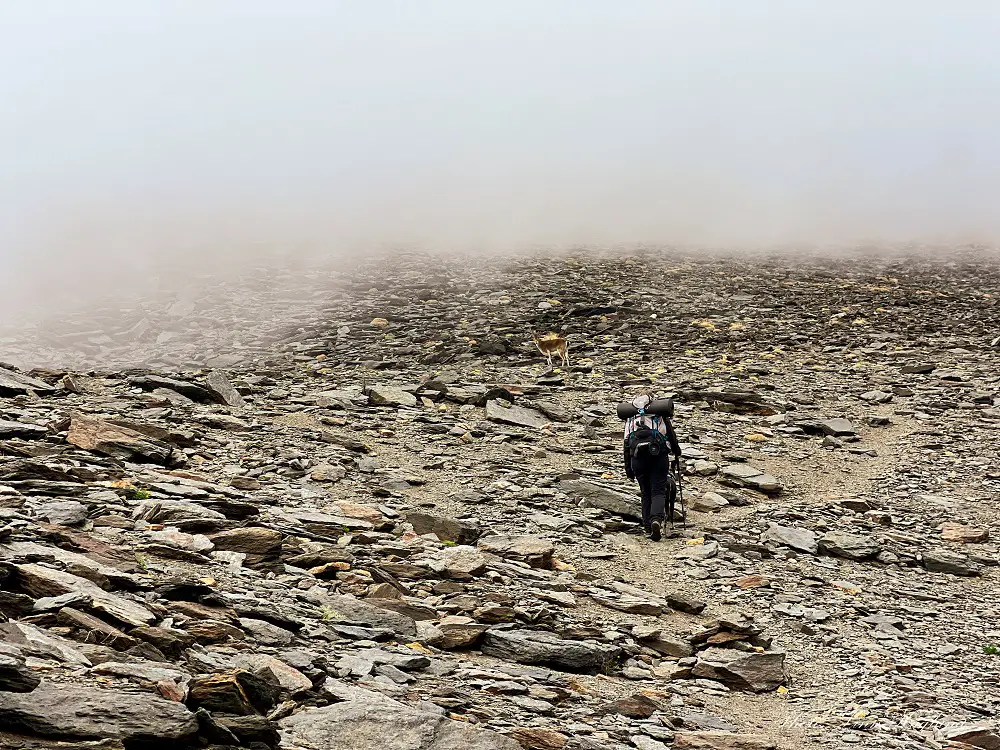 Hiking Alcazaba in the fog with mountain goats near the trail.
