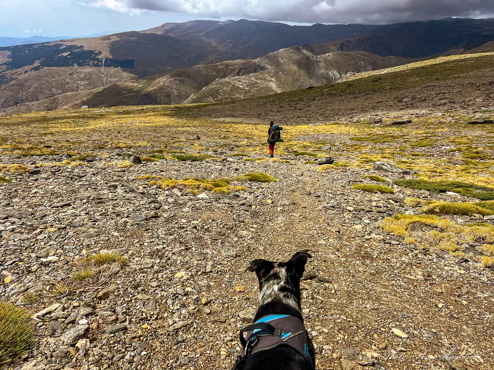 Mohammed and Atlas hiking across the high sierra nevada.