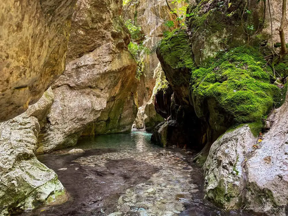 The river throught the ravine of Arroyo Bocaleones aquatic hike.