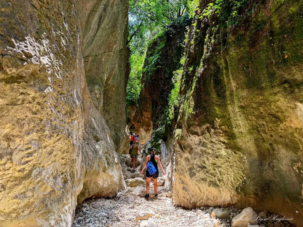 Arroyo Bocaleones hike.