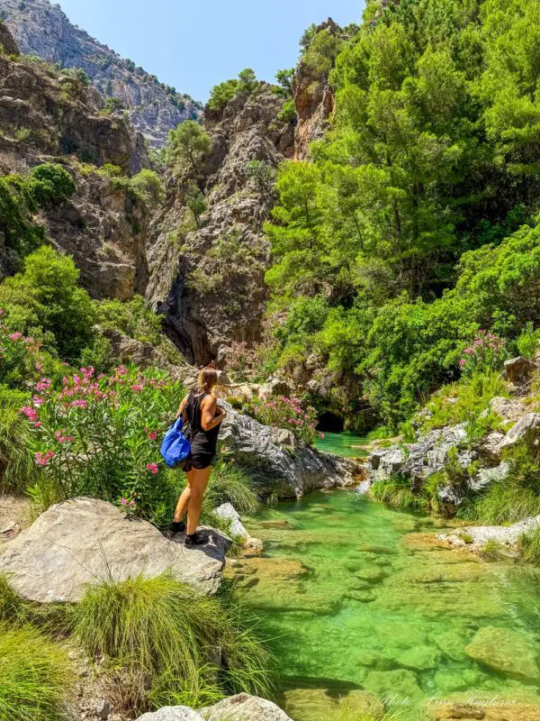 Me standing along the Rio Verde Otivar hiking trail surrounded by green, lush nature and pink flowers.