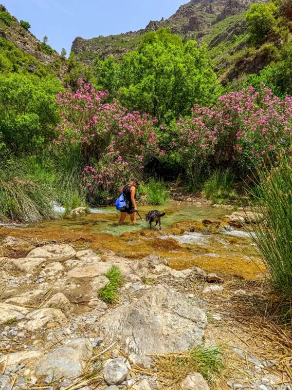 Me and atlas walking in the water at the start of the Rio Verde hike.
