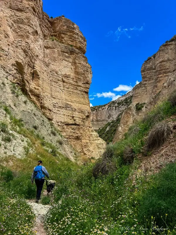 Me and Atlas hiking in Falla de Baza Spain.