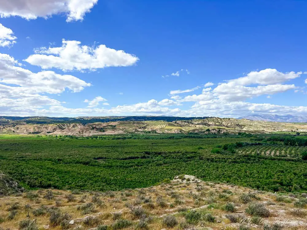 Views of the Paleolago de Baza.
