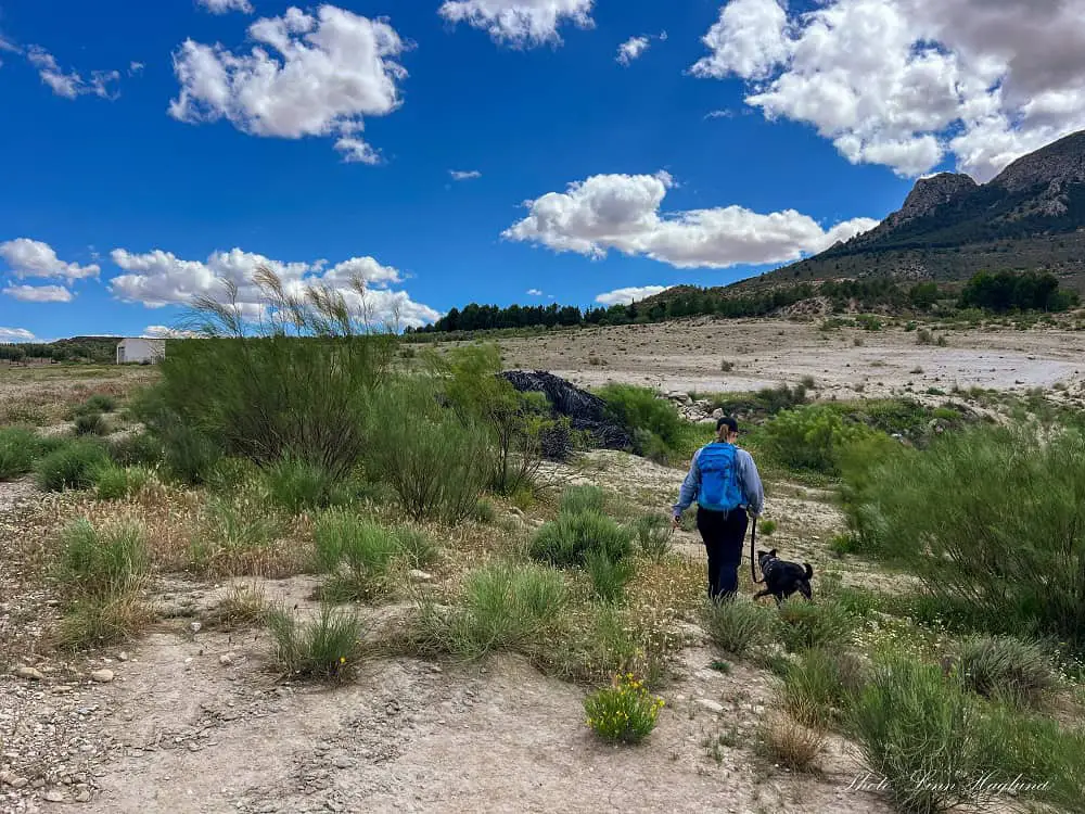 Me and Atlas walking into an anclear path with a white shed on our far left.